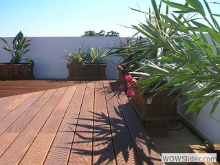 2005_0101deck0006