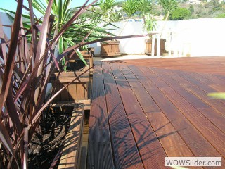 2005_0101deck0010
