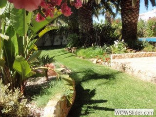 algarvelawns2