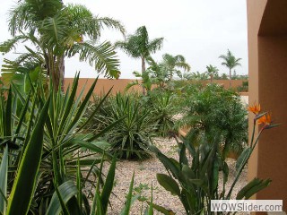 gambia and nick and briggs 398