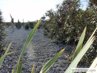 gravelborder-2