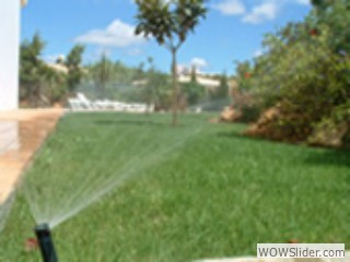 irrigation