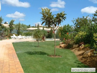 lawn2