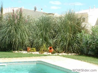 poolarealarge