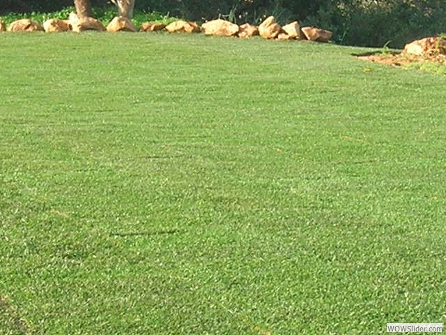2005_0101colins0015