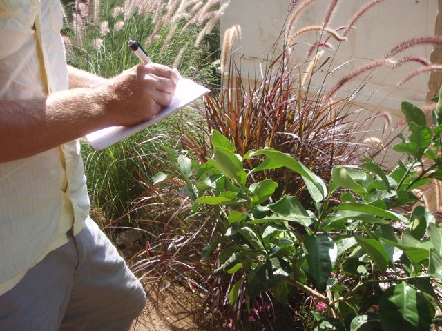 gardening problems solved