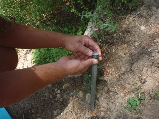 solving gardening problems
