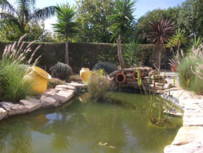 garden pond in portugal