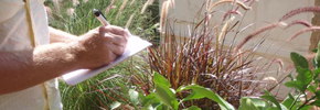 diagnose the problems in your algarve garden