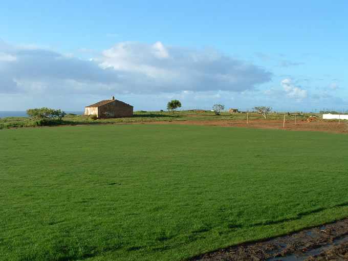 lawns in portugal