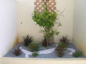 small garden in portugal