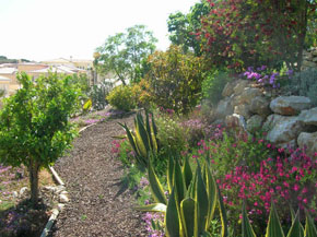 garden pond in portugal