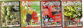 gardening articles in the portugal news