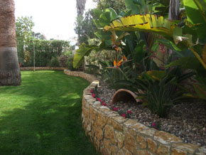 tropical garden in portugal